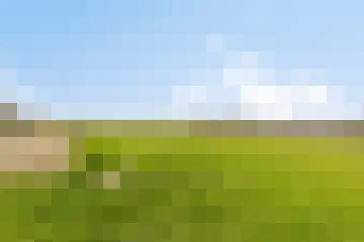 Veilingweg 20 Tuitjenhorn thumbnail 87