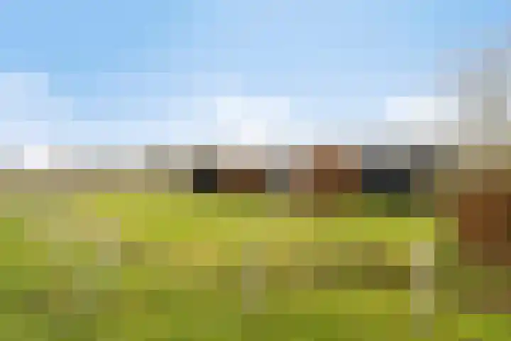Veilingweg 20 Tuitjenhorn thumbnail 88