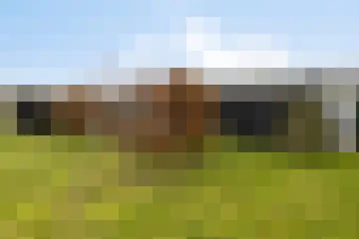 Veilingweg 20 Tuitjenhorn thumbnail 89