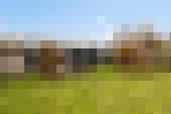 Veilingweg 20 Tuitjenhorn thumbnail 90