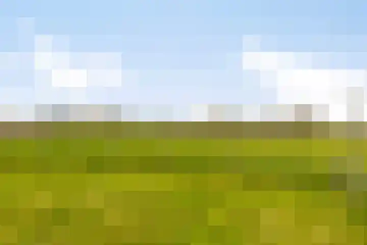 Veilingweg 20 Tuitjenhorn thumbnail 91