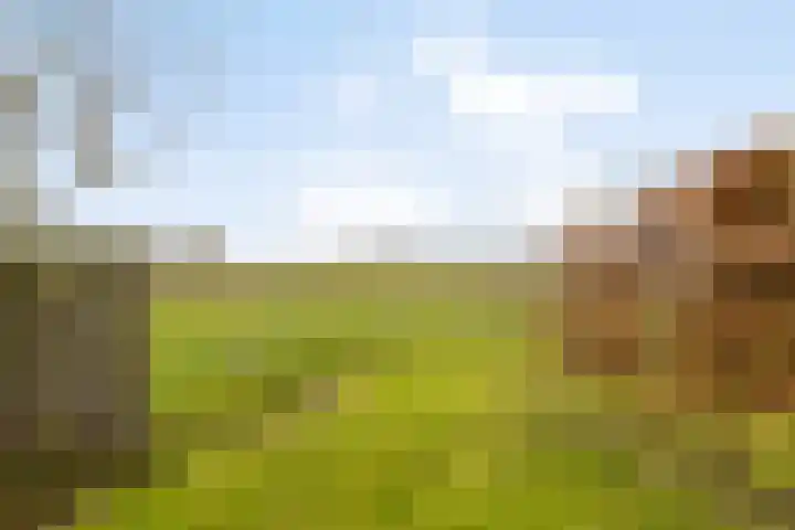 Veilingweg 20 Tuitjenhorn thumbnail 92