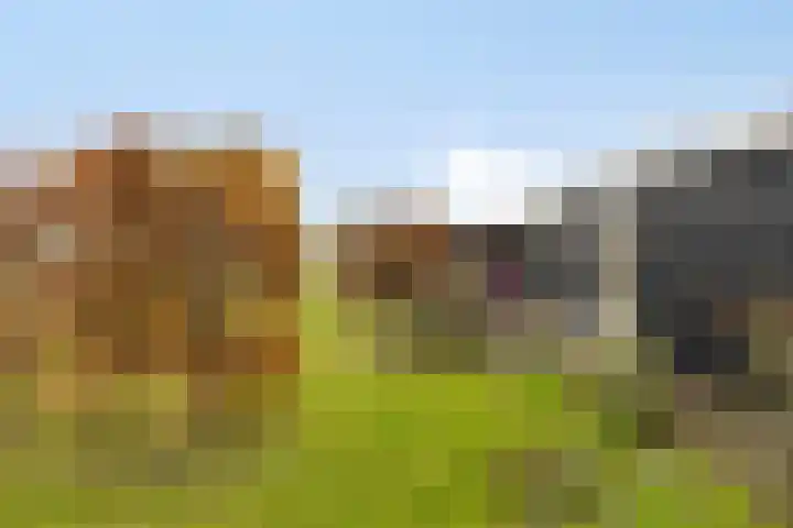 Veilingweg 20 Tuitjenhorn thumbnail 93