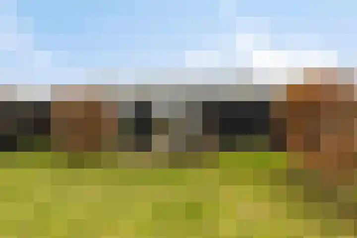 Veilingweg 20 Tuitjenhorn thumbnail 94
