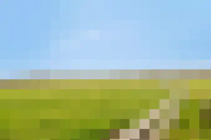 Veilingweg 20 Tuitjenhorn thumbnail 95