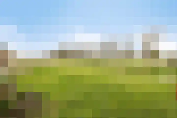 Veilingweg 20 Tuitjenhorn thumbnail 96