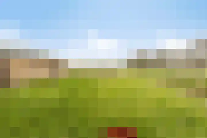 Veilingweg 20 Tuitjenhorn thumbnail 97