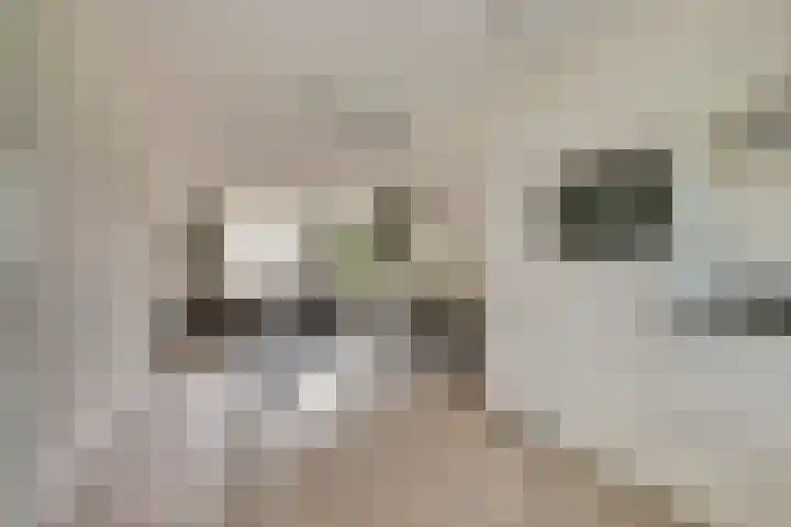 Veilingweg 3 C De Lier thumbnail 13