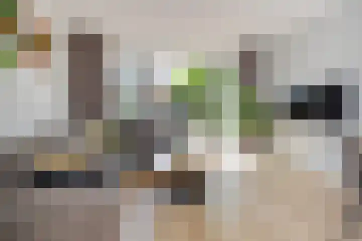 Veilingweg 3 E De Lier thumbnail 12