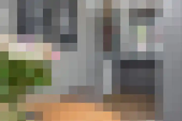 Veilingweg 3 E De Lier thumbnail 18