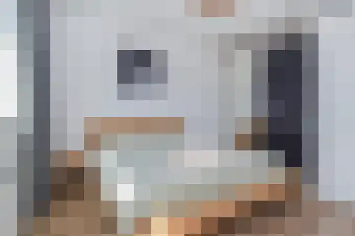 Veilingweg 3 E De Lier thumbnail 25