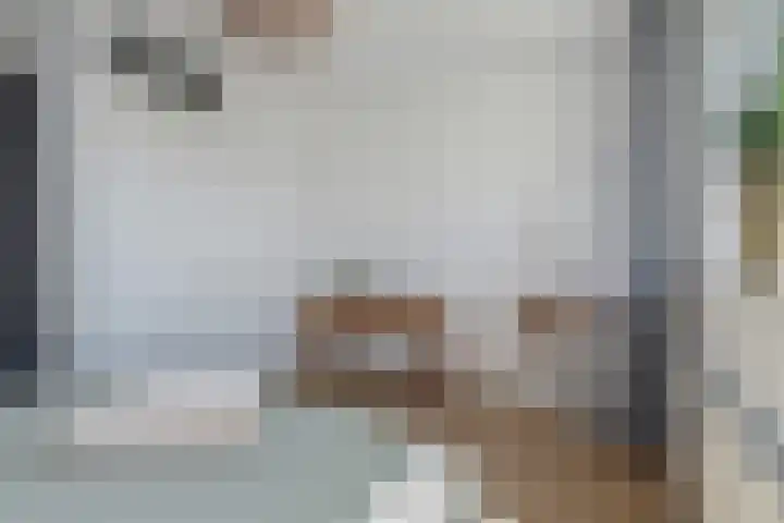 Veilingweg 3 E De Lier thumbnail 26