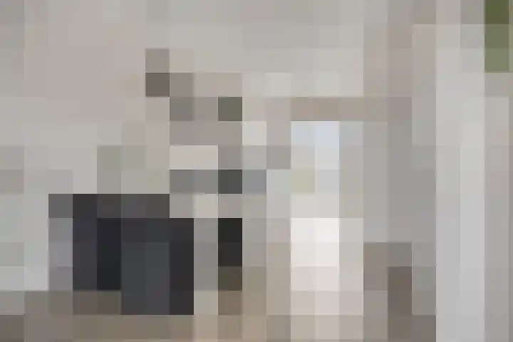 Veilingweg 3 F De Lier thumbnail 12