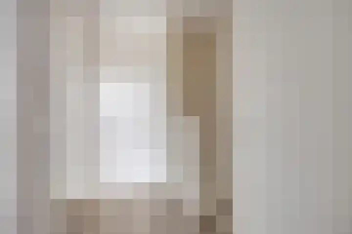 Veilingweg 3 F De Lier thumbnail 14