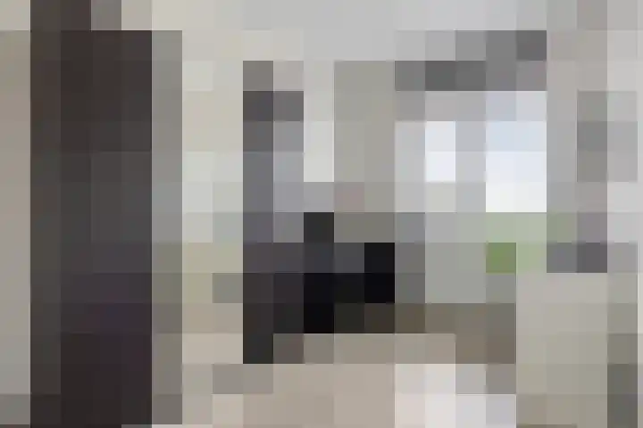 Veilingweg 3 F De Lier thumbnail 19
