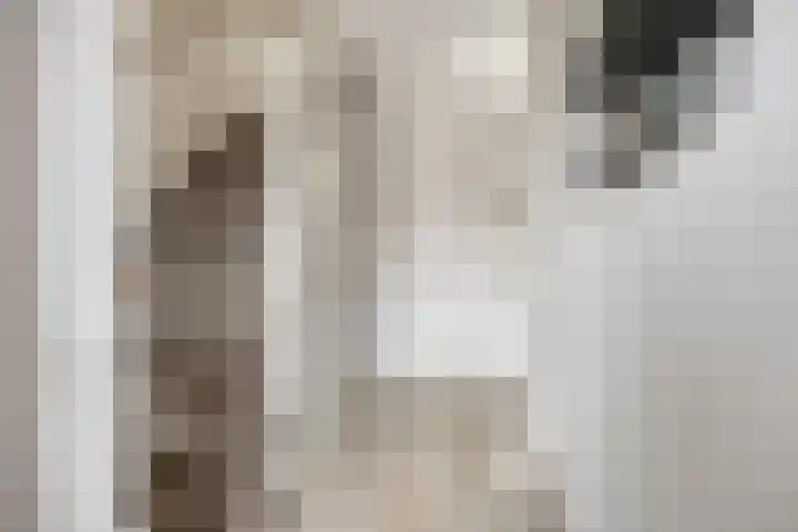 Veilingweg 3 F De Lier thumbnail 7