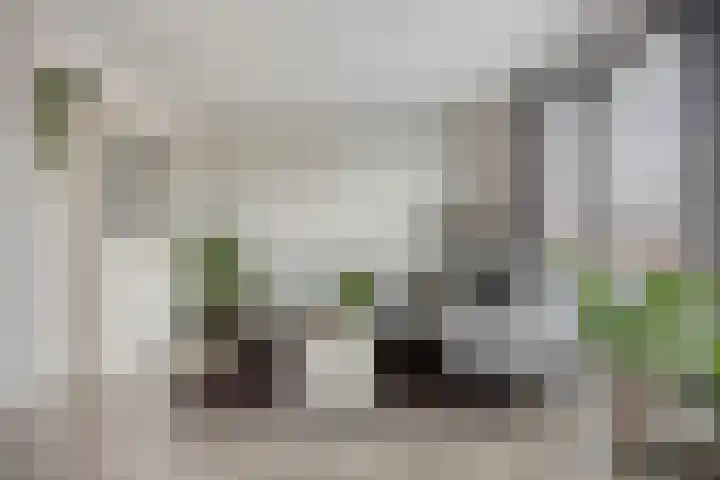 Veilingweg 3 F De Lier thumbnail 8
