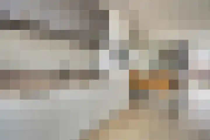 Veilingweg 3 H De Lier thumbnail 13