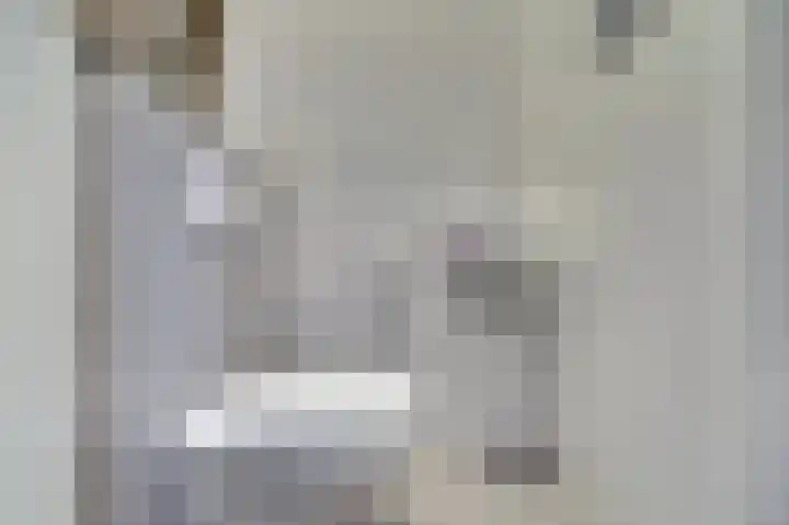 Veilingweg 3 H De Lier thumbnail 15
