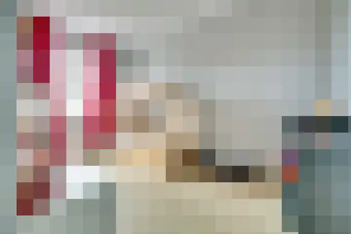 Veilingweg 3 H De Lier thumbnail 21