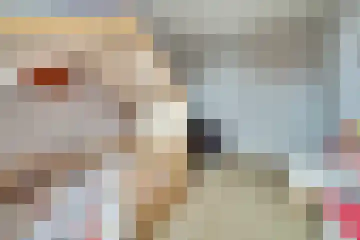 Veilingweg 3 H De Lier thumbnail 22