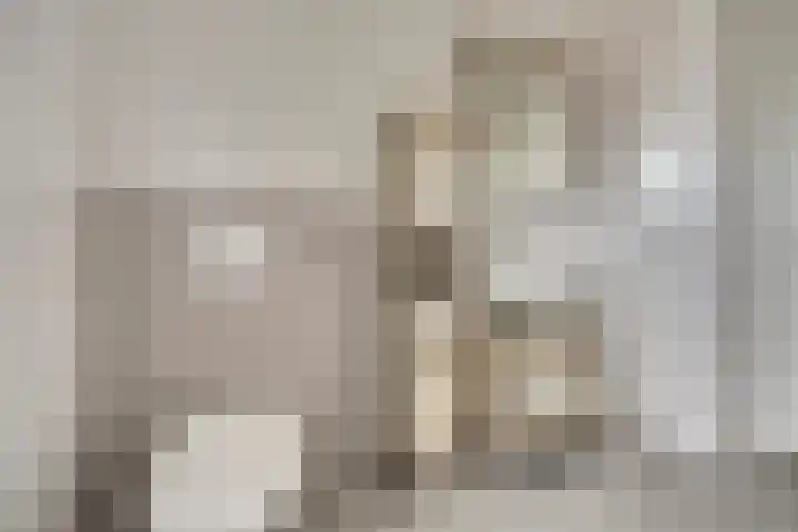 Veilingweg 3 H De Lier thumbnail 24
