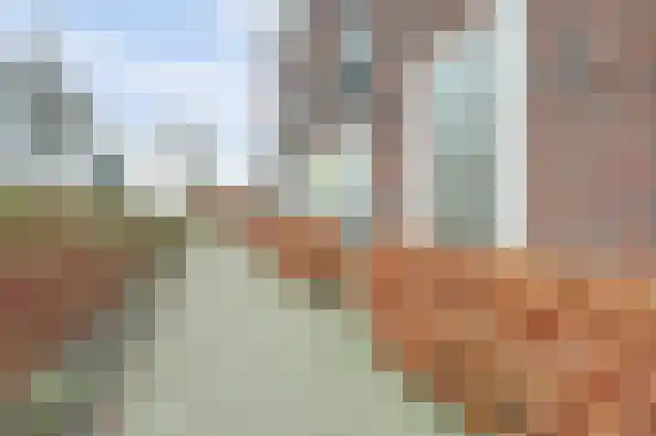Veilingweg 3 H De Lier thumbnail 32