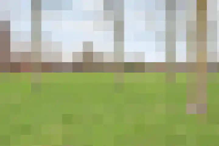 Veilingweg 3 H De Lier thumbnail 34