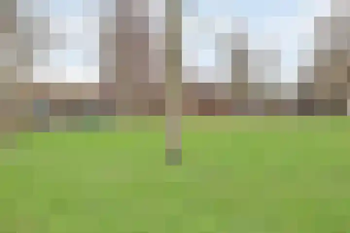 Veilingweg 3 H De Lier thumbnail 35