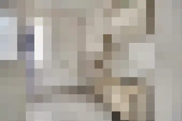 Veilingweg 3 H De Lier thumbnail 4
