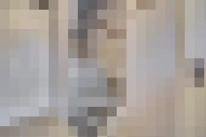 Veilingweg 3 H De Lier thumbnail 5