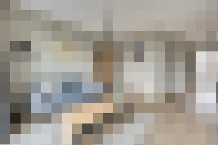Veilingweg 3 H De Lier thumbnail 8