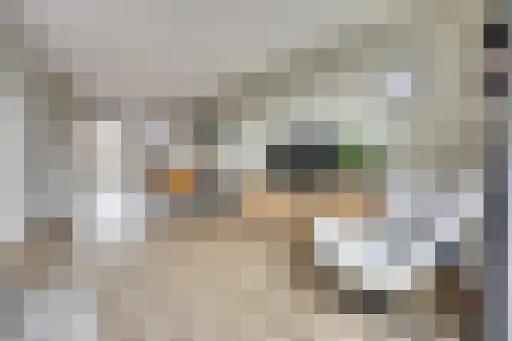 Veilingweg 3 H De Lier thumbnail 9