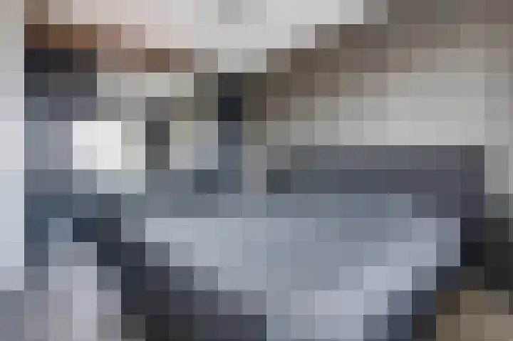 Veilingweg 3 L De Lier thumbnail 21