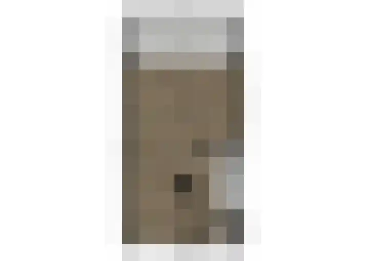 Veilingweg 3 L De Lier thumbnail 33