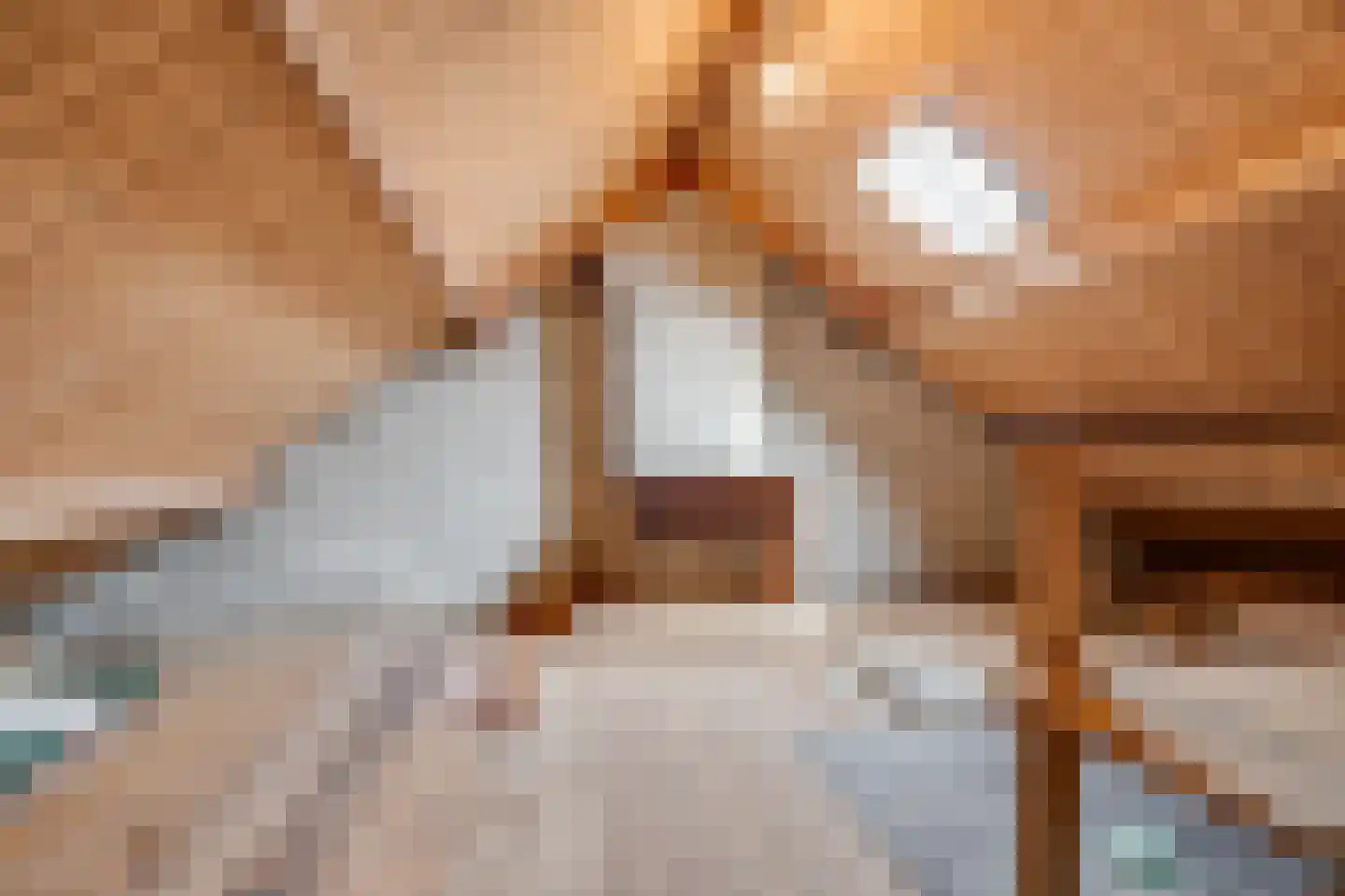 Veilingweg 39 Warmenhuizen thumbnail 14
