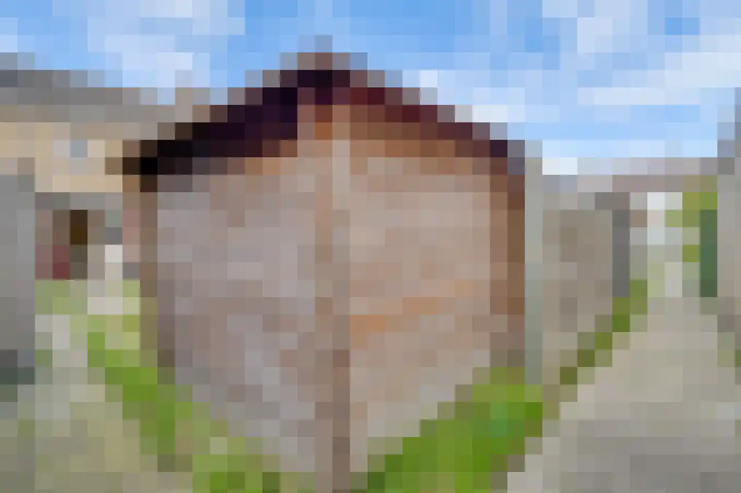 Veilingweg 39 Warmenhuizen thumbnail 24