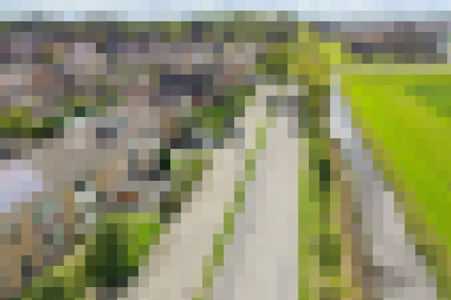 Veilingweg 39 Warmenhuizen thumbnail 25