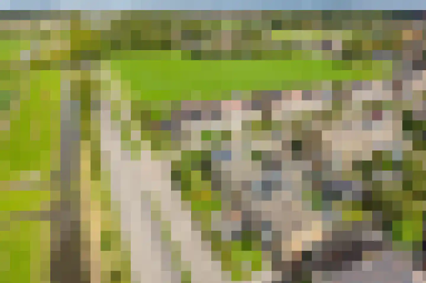 Veilingweg 39 Warmenhuizen thumbnail 26