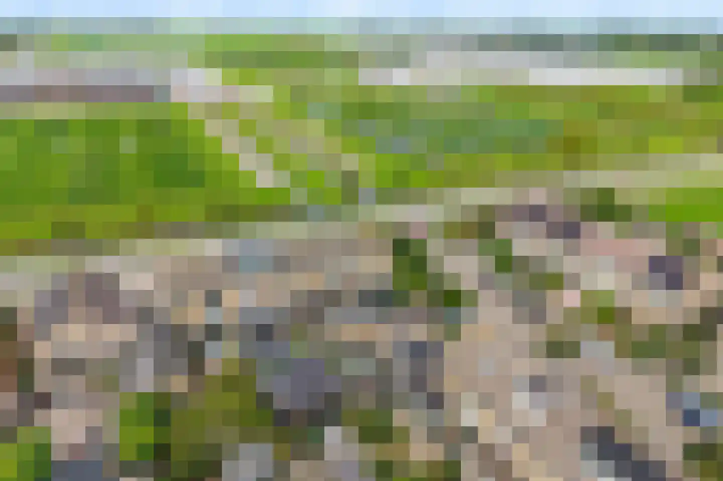 Veilingweg 39 Warmenhuizen thumbnail 29