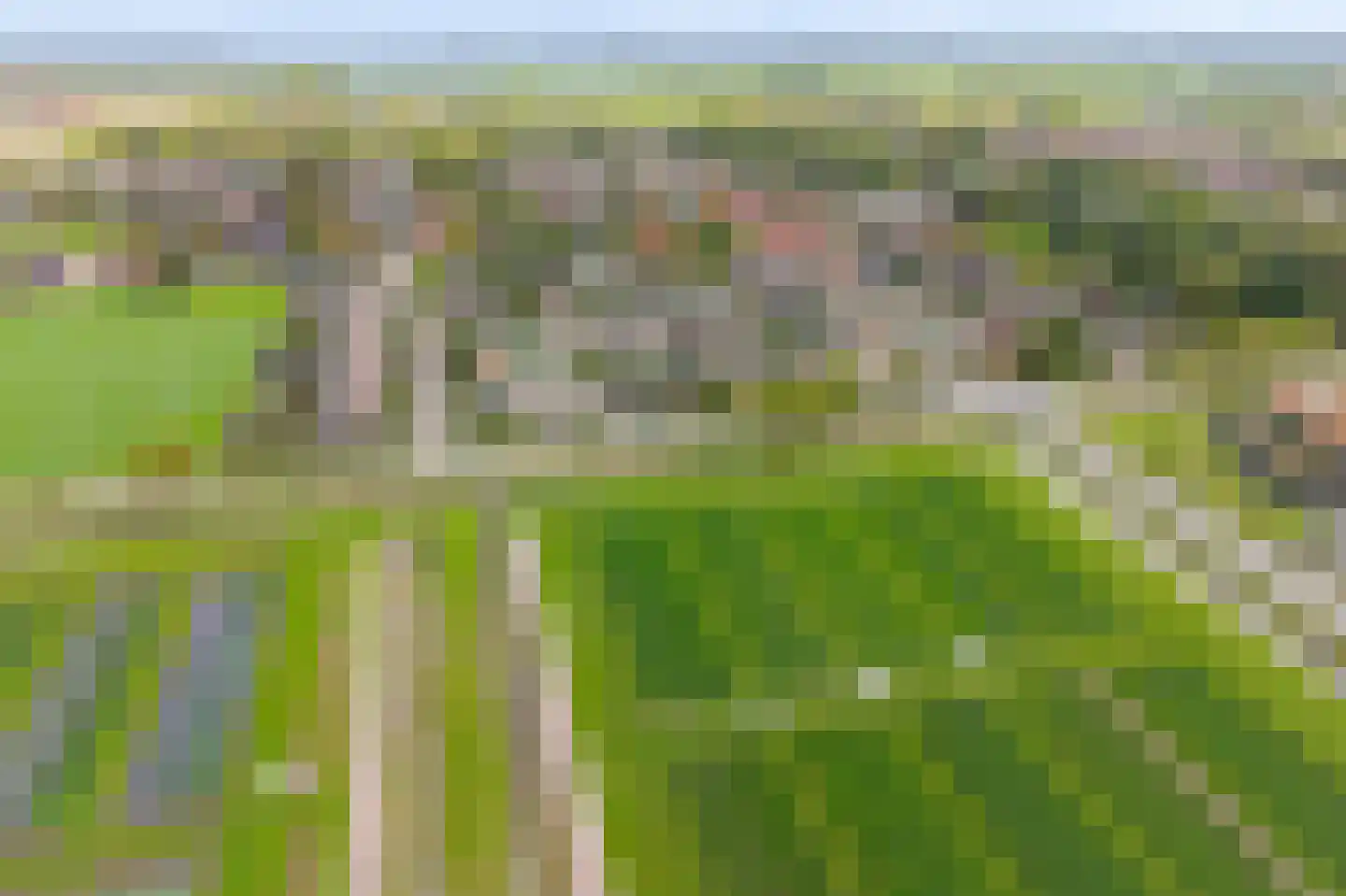 Veilingweg 39 Warmenhuizen thumbnail 30