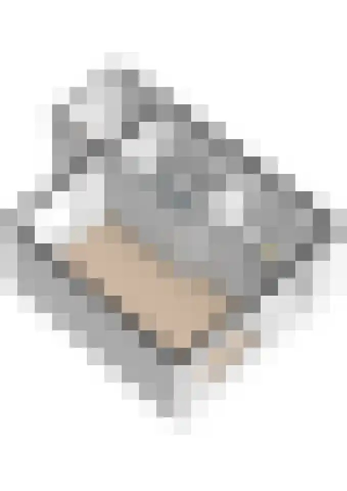 Veilingweg 39 Warmenhuizen thumbnail 33