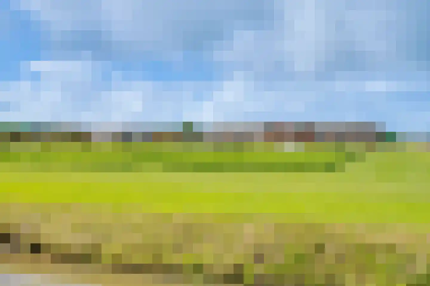Veilingweg 39 Warmenhuizen thumbnail 4
