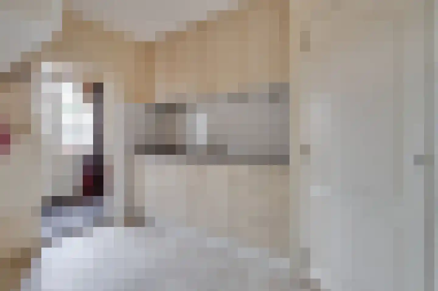 Veilingweg 39 Warmenhuizen thumbnail 7