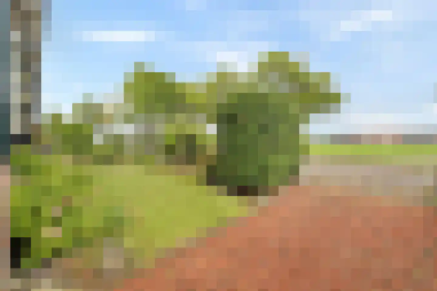Veilingweg 47 Warmenhuizen thumbnail 12