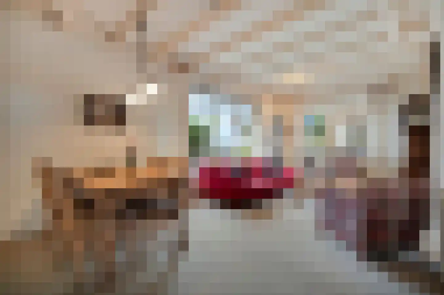Veilingweg 47 Warmenhuizen thumbnail 16
