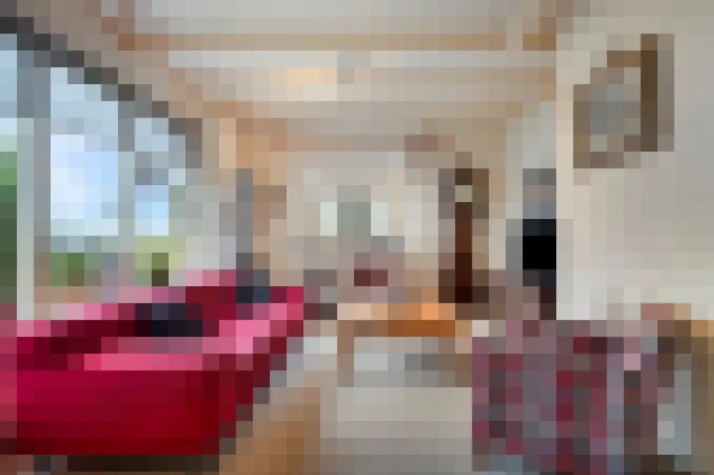 Veilingweg 47 Warmenhuizen thumbnail 17