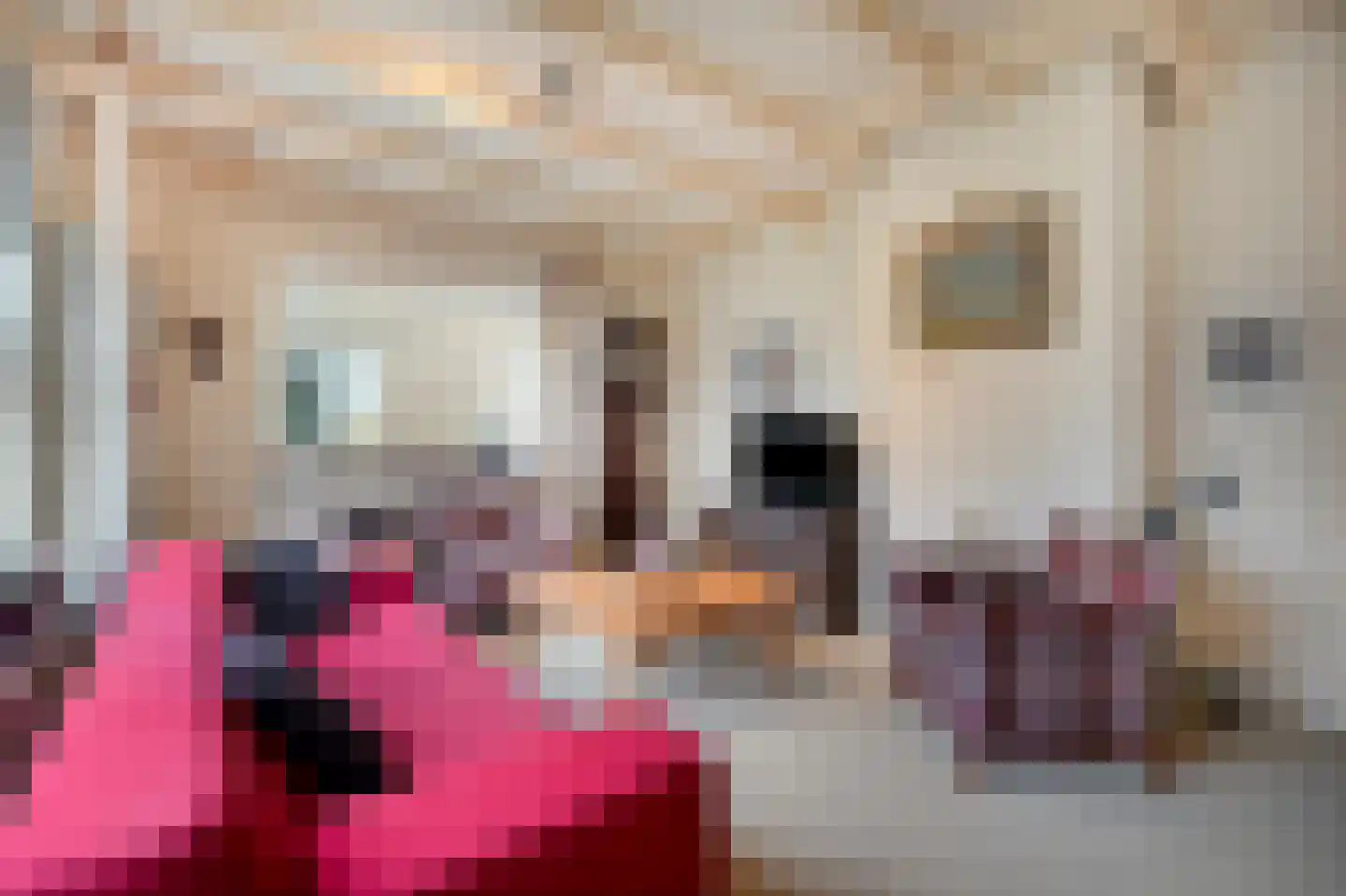 Veilingweg 47 Warmenhuizen thumbnail 18