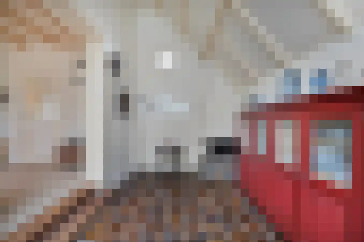 Veilingweg 47 Warmenhuizen thumbnail 20