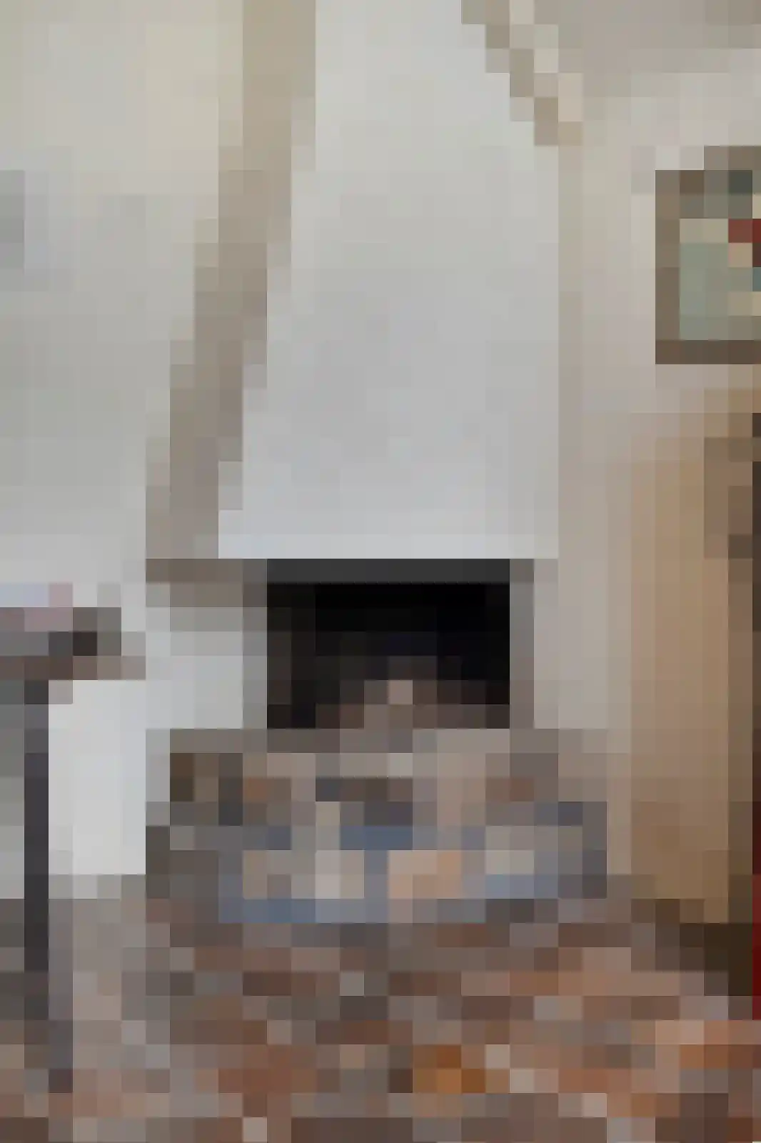 Veilingweg 47 Warmenhuizen thumbnail 23